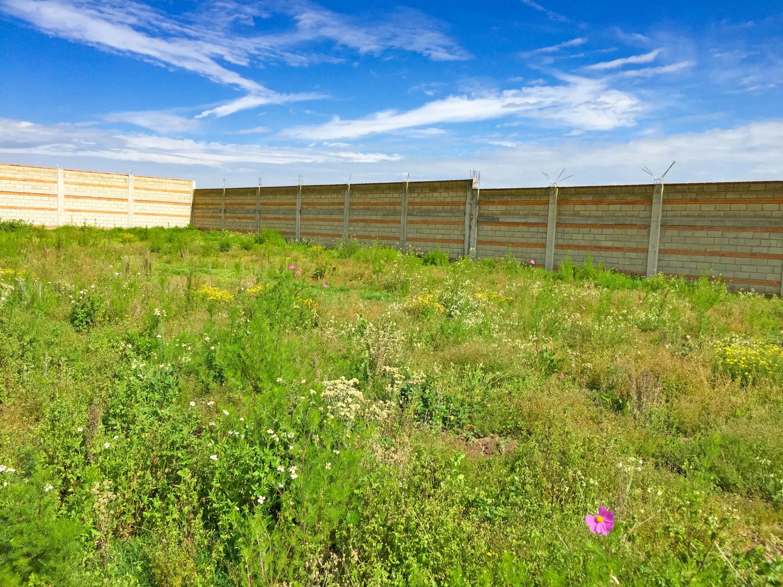 MBO-12-1-scaled TERRENO EN VENTA ZINACANTEPEC