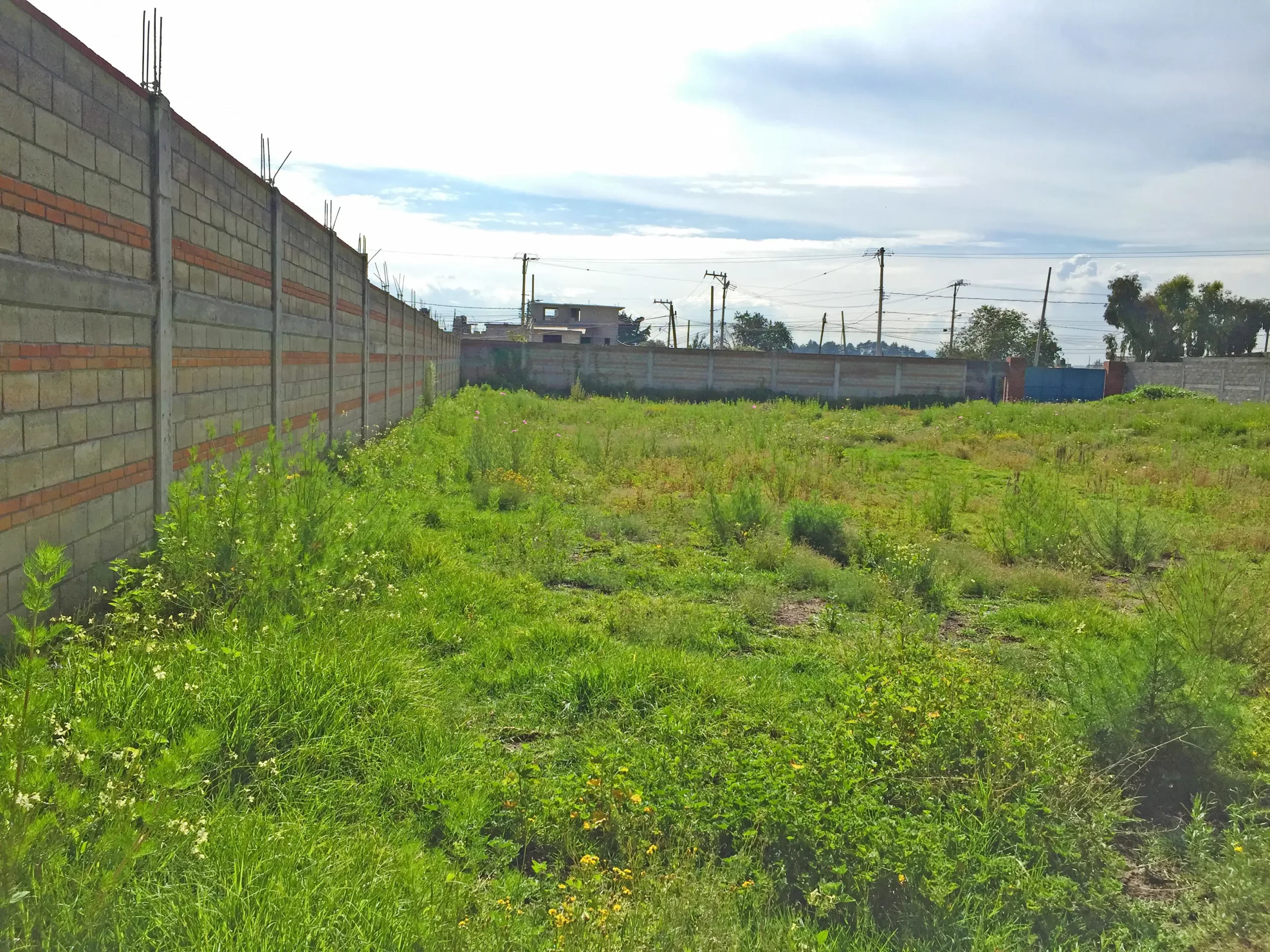 MBO-2-scaled TERRENO EN VENTA ZINACANTEPEC