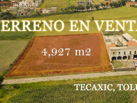 terreno en venta tecaxic